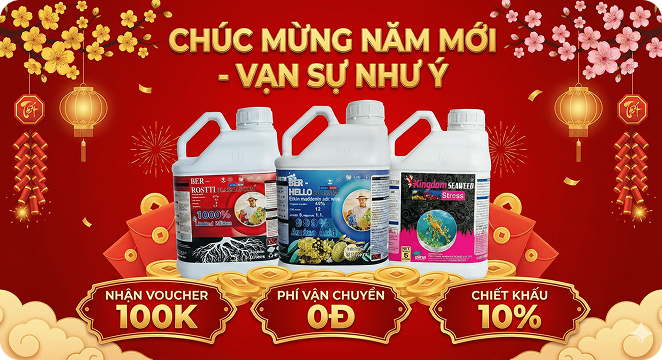 Banner Home 2 - Product Promotion